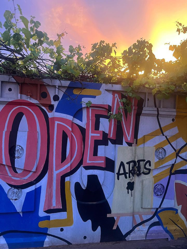 Open Arts Space